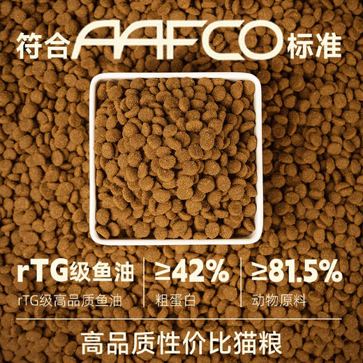 喵铮铮纯铮猫粮 3斤/包 高蛋白全阶段成猫幼猫营养猫粮 商品图3