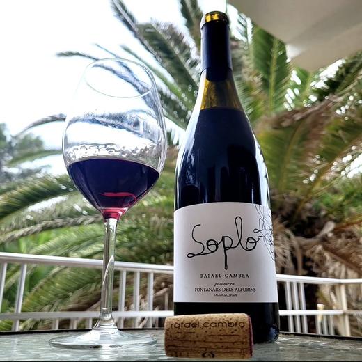 WE醉佳必买酒款！RP92高分 西班牙多汁歌海娜 索普罗红葡萄酒 Soplo Tinto 2024 商品图1