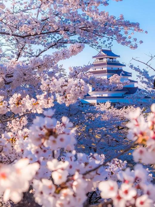 北京领区日本单次/三年签证免资产全国收.VIP-专业顾问1对1服务信息保密 商品图3