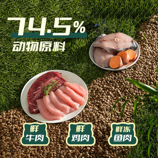 【金卡会员专属】喵铮铮翡翠大腮帮猫粮 3斤/包 鲜牛肉生骨肉沫猫粮 商品图1