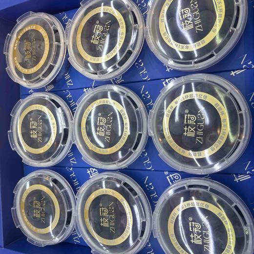 枝冠蓝莓🫐 商品图1