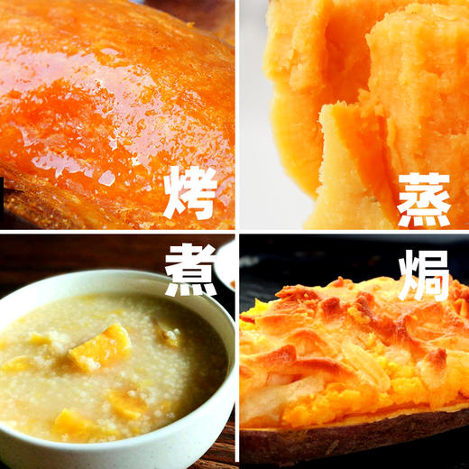 无公害认证 | 崂山蜜薯黄蜜系列 汀甜金蜜/山地蜜薯烤薯/无添加蜜薯干红薯干 无熏硫红薯粉丝 新鲜番薯零食食材(三种规格可选) 商品图13