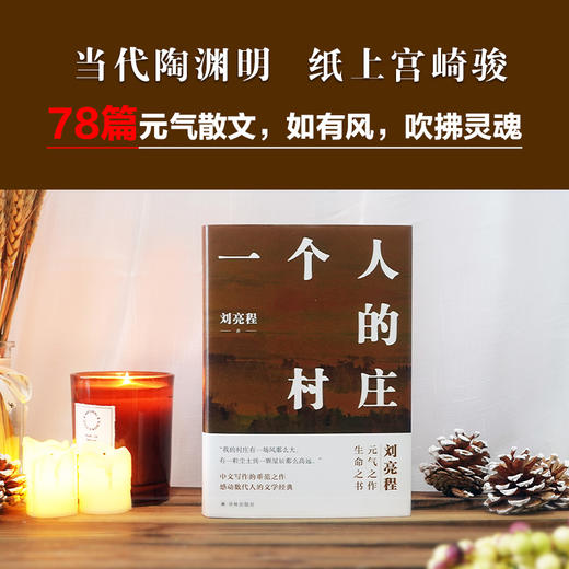 《一个人的村庄》（精装典藏版）  刘亮程 著 商品图2