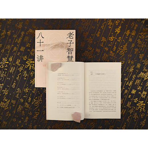 老子智慧八十一讲 商品图1