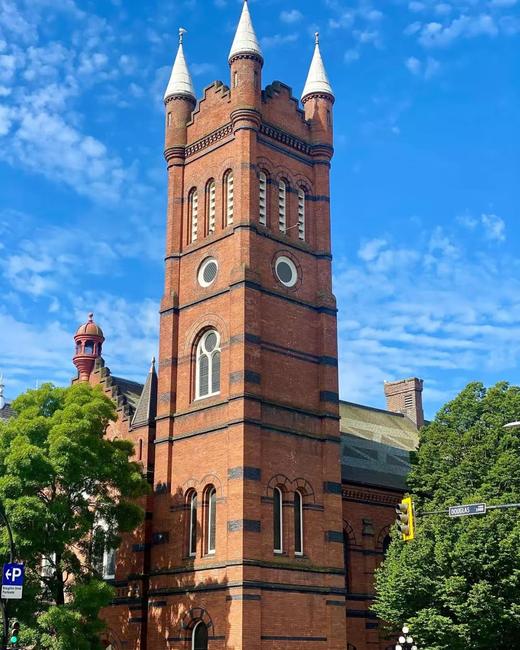 加拿大签证【超级简化】 商品图7