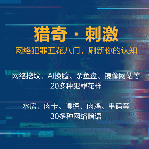 裸网：一个网络刑警的追凶手记 | 每 39 秒就会发生一次网络犯罪！ 商品图1