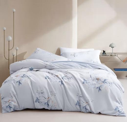 水星家纺抗菌磨毛四件套-意礼 商品图0