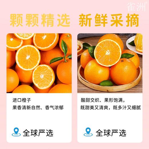 【福利购】雀洲小果汁 小包装网红饮品 100ml*12盒/提 多种口味任选 商品图3