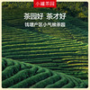 【25年春茶】小罐茶园 一级龙井茶 钱塘产区绿茶 100g 【 现货发出】 商品缩略图2
