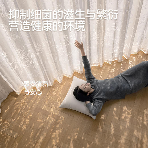 【花枝影】金蝉植物纹理朦胧光影纱帘 商品图4