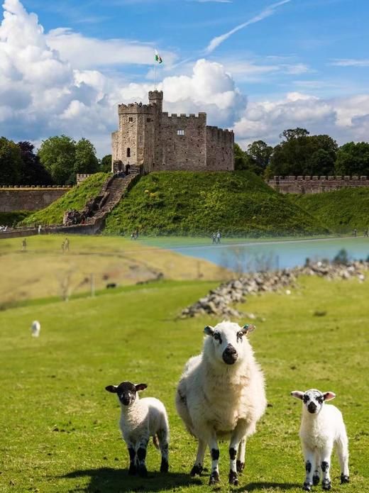 英国2年/五年/10年多次个人旅游签+电子版扫描材料+专业顾问一对一服务+可加急 商品图5