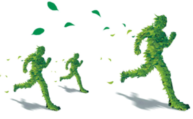  艾灸养生！健康生活的未来！ 