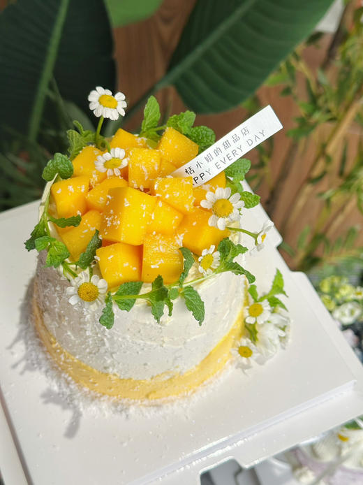 减糖：椰椰香芒 商品图2