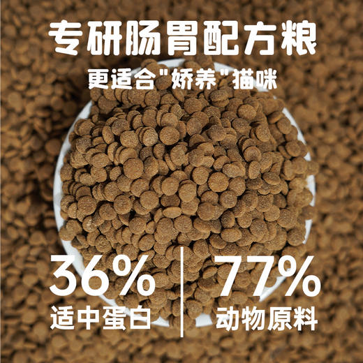 【金卡会员专属】喵铮铮鸡内金猫粮 3斤/包 喵铮铮全阶段生骨肉末营养猫粮 商品图2