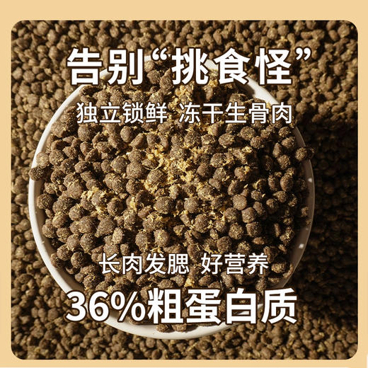 【金装】大腮帮全价冻干猫粮 3斤/包 鲜鸭肉梨生骨肉沫无谷 商品图3