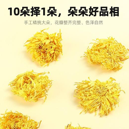 杞里香金丝皇菊 商品图3