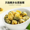杞里香胎菊 商品缩略图2