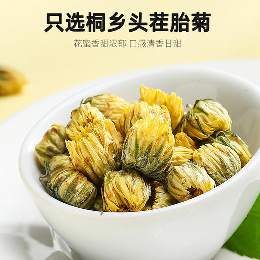 杞里香胎菊 商品图2