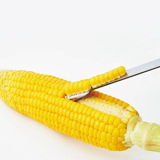 日本进口YOSHIKAWA玉米刨刀304不锈钢玉米粒剥离器家用厨房工具 商品图1