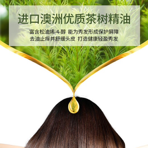茶树精油菁萃修护洗发水 500ml 商品图1