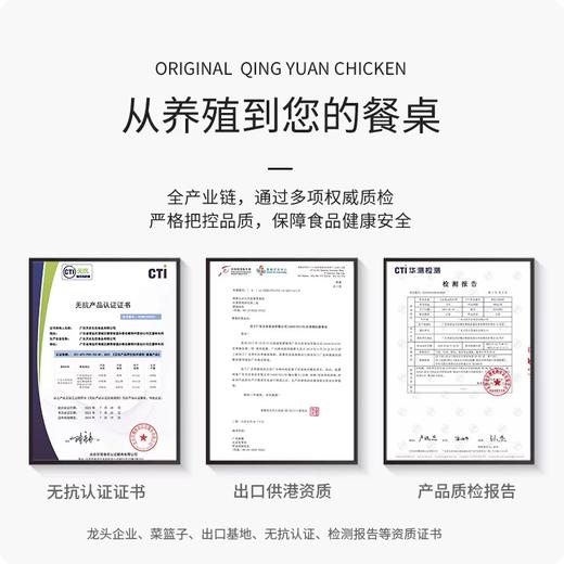 【买一送一】天农清远走地鸡800g/只 农家谷饲散养90天 商品图2