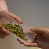 2026年特级明前狮峰龙井250g（预售） 商品缩略图0