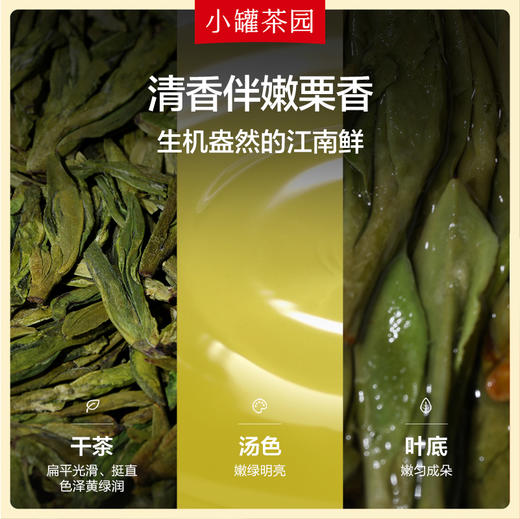 【25年春茶】小罐茶园 一级龙井茶 钱塘产区绿茶 100g 【 现货发出】 商品图6