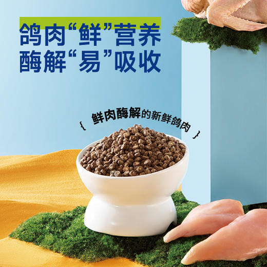 喵铮铮鸽老大猫粮 3斤/包 猫咪夹心生骨肉低敏营养猫粮 商品图2