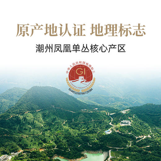 【好茶破价王赠品】鸭屎香（水龙吟） 商品图1