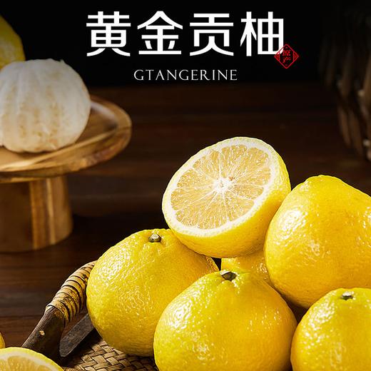 疯抢中！！【荣获农博会金奖】【洪江纯正黄金贡柚】清甜无酸 果粒分明 维C卫士老少皆宜 5斤/10斤/送手提彩箱装 商品图0