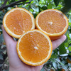 秭归【伦晚帝王橙】饱满多汁 香甜爽口 现摘现发 新鲜直达！ 商品缩略图4