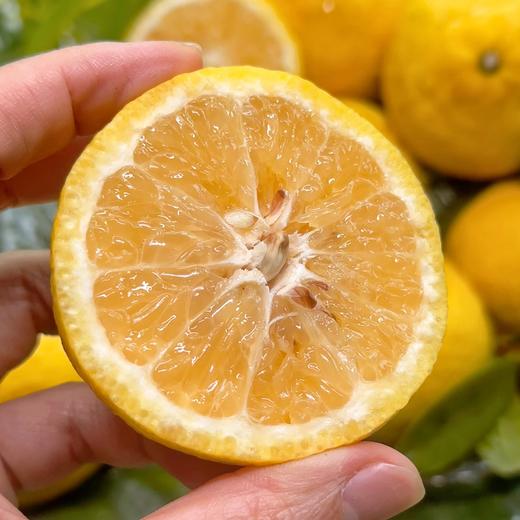 疯抢中！！【荣获农博会金奖】【洪江纯正黄金贡柚】清甜无酸 果粒分明 维C卫士老少皆宜 5斤/10斤/送手提彩箱装 商品图1