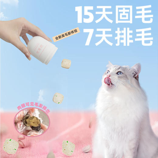 喵铮铮固毛化毛球片 240片/盒 磷虾油美毛固毛 植物纤维促消化排毛球 商品图1