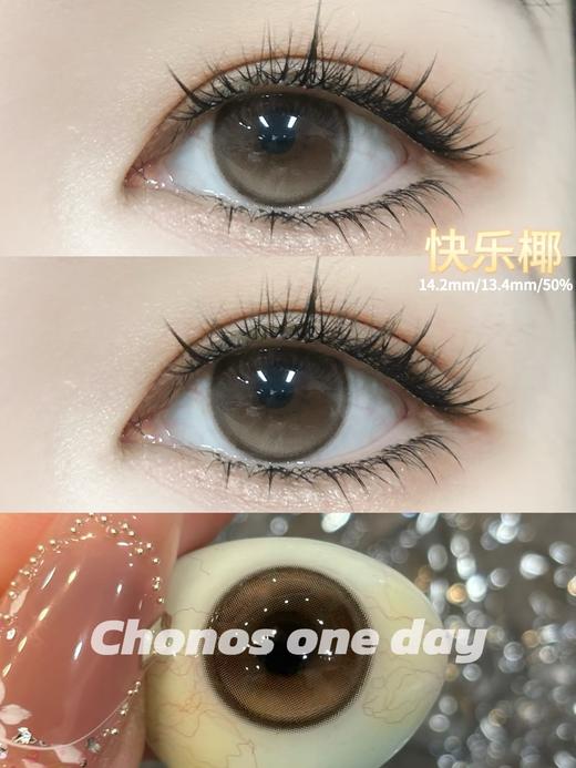 chonos日抛 快乐椰 棕色 14.2 一盒10片 非离子 日抛无售后 商品图3