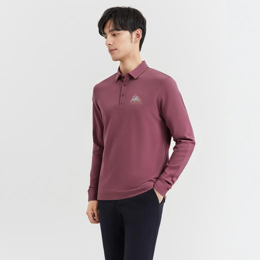圣得西POLO衫男2025年春季新款翻领商务休闲通勤百搭男士长袖T恤2412945090 商品图1