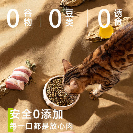 【金卡会员专属】喵铮铮烘焙粮 2斤/包 93%肉含量无谷营养全阶段猫粮 商品图3