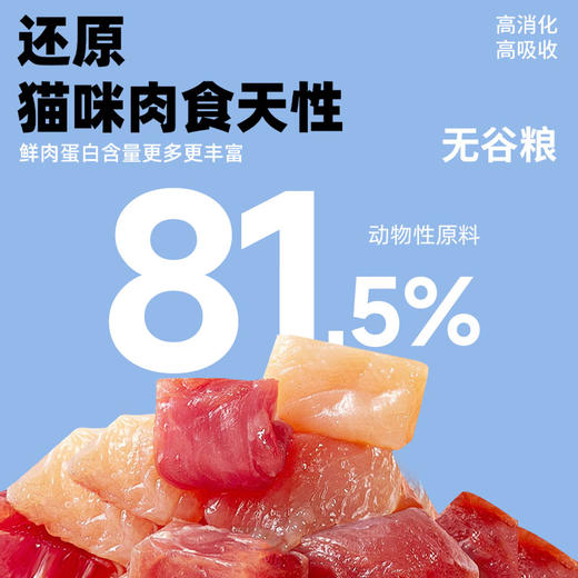 喵铮铮纯铮猫粮 3斤/包 高蛋白全阶段成猫幼猫营养猫粮 商品图1