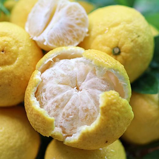 疯抢中！！【荣获农博会金奖】【洪江纯正黄金贡柚】清甜无酸 果粒分明 维C卫士老少皆宜 5斤/10斤/送手提彩箱装 商品图10