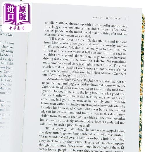 【中商原版】Chiltern经典系列 绿山墙的安妮 Anne of Green Gables 英文原版 LM Montgomery 商品图2