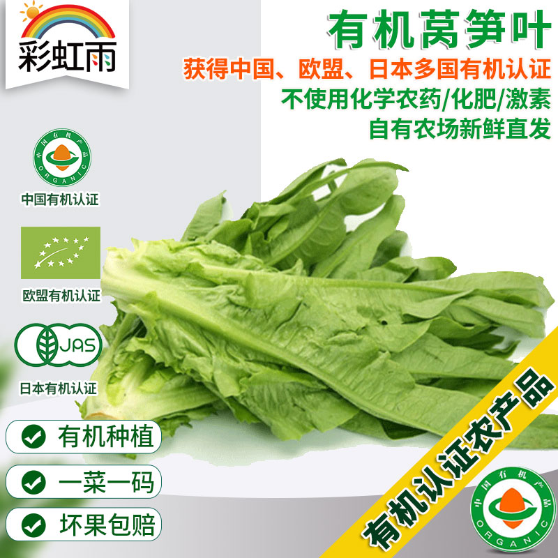 有机蔬菜有机莴笋叶250g 欧盟认证新鲜现摘京津冀满百包邮