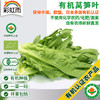 有机蔬菜有机莴笋叶250g 欧盟认证新鲜现摘京津冀满百包邮 商品缩略图0