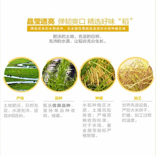 【米香中国】金龙鱼 御品一级珍珠米2.5公斤 商品图3