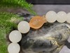 【御珠宫坊】白玉手串 商品缩略图2