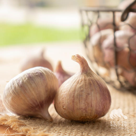 生态小红蒜（半干蒜）| 合作生产*Eco purple garlic | Partner Production 商品图5