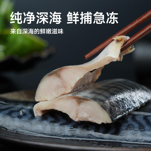 【萌萌姐专属】市舶士 挪威进口纯净深海捕捞青花鱼 冷冻海鲜水产鲭鱼900g/盒 商品图4