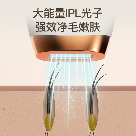 Wellskins薇新光子嫩肤脱毛仪 六档可调 全身可用 商品图3