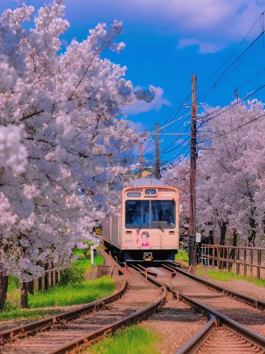 北京领区日本单次/三年签证免资产全国收.VIP-专业顾问1对1服务信息保密 商品图6