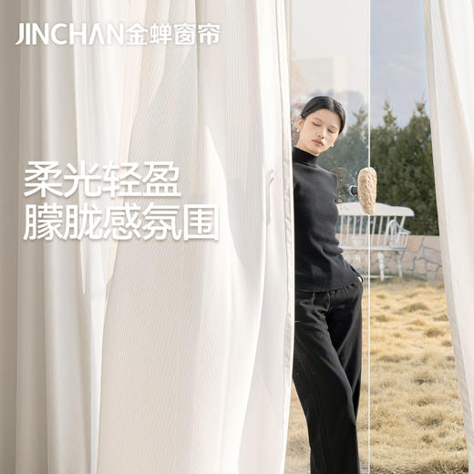 【艺禾纱】金蝉透光不透人简约绒感细小条纹纱帘 商品图0