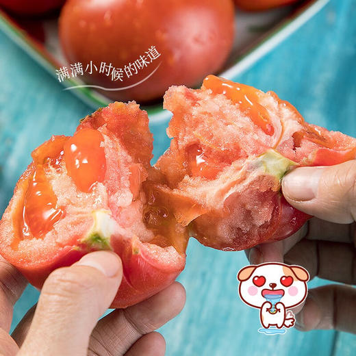 山东草莓西红柿4.5斤礼盒装【分仓直发，72小时发货，周末节假日不发货】 商品图3