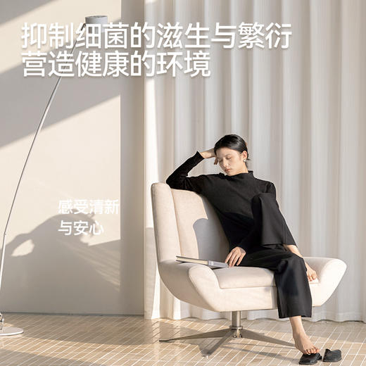 【艺禾纱】金蝉透光不透人简约绒感细小条纹纱帘 商品图4